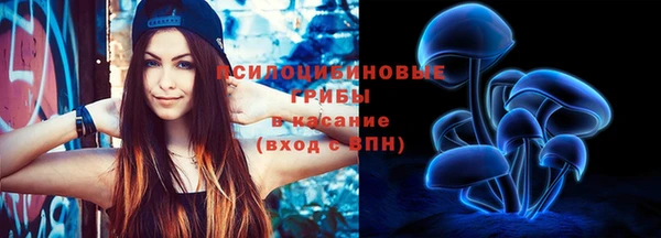 каннабис Аркадак