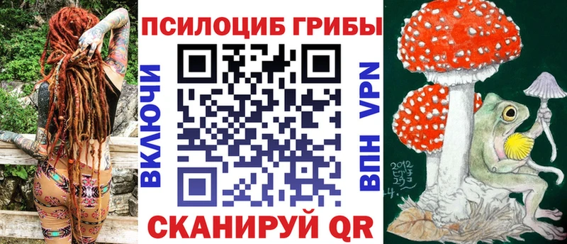 купить наркотик  Губаха  Галлюциногенные грибы мицелий 